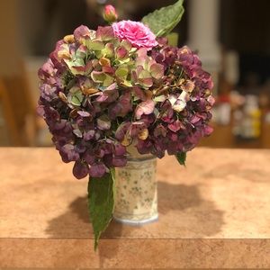 Meet your Posher, Gloria